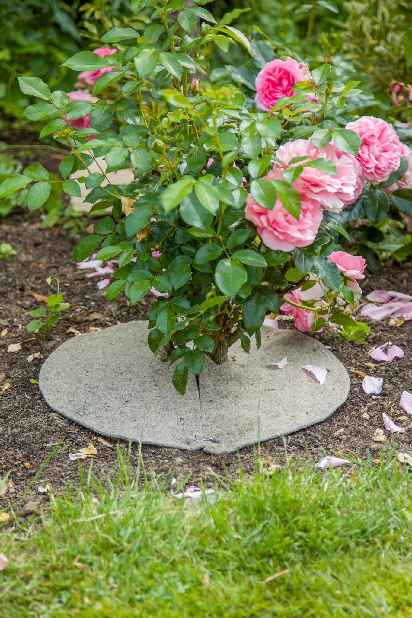 700g/m² Natural Jute Felt Mulch Disc - Snedkerværktøj