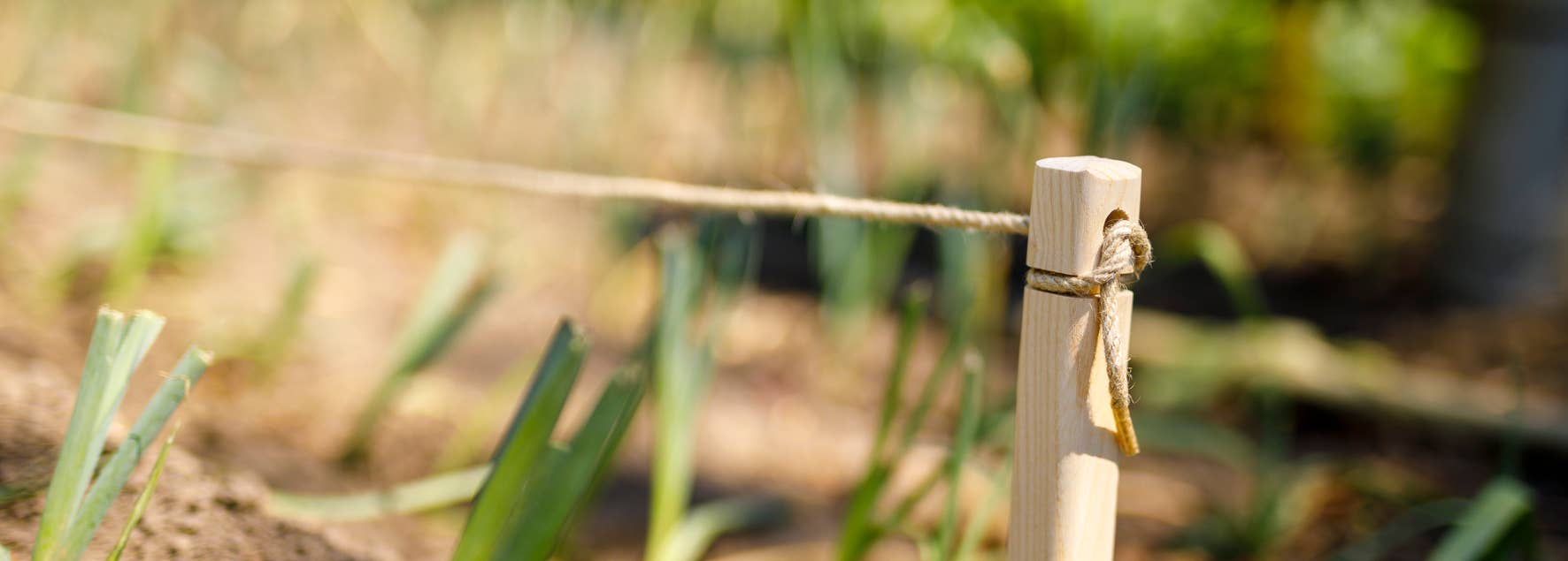 Gardener beech cord + hemp rope - Snedkerværktøj