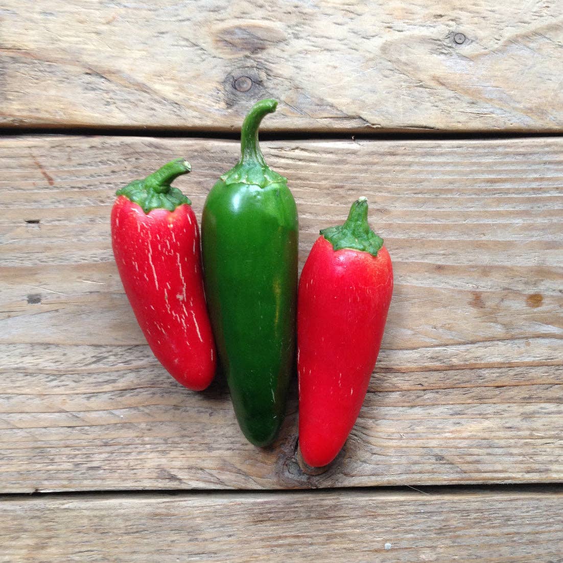 Hot Pepper Jalapeño M - Snedkerværktøj