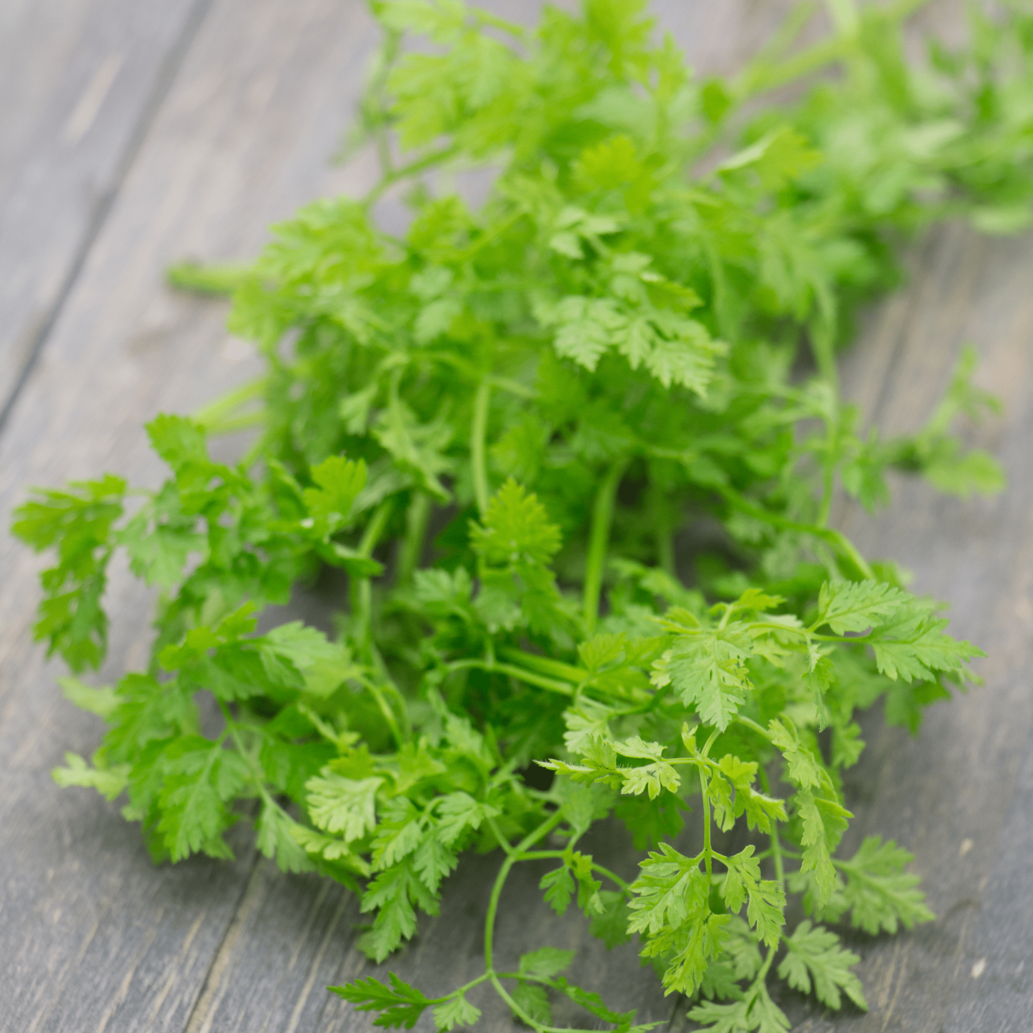 Kitchen Herbs - Snedkerværktøj