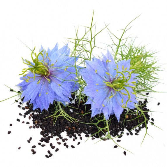 Nigella Black Cumin - Snedkerværktøj