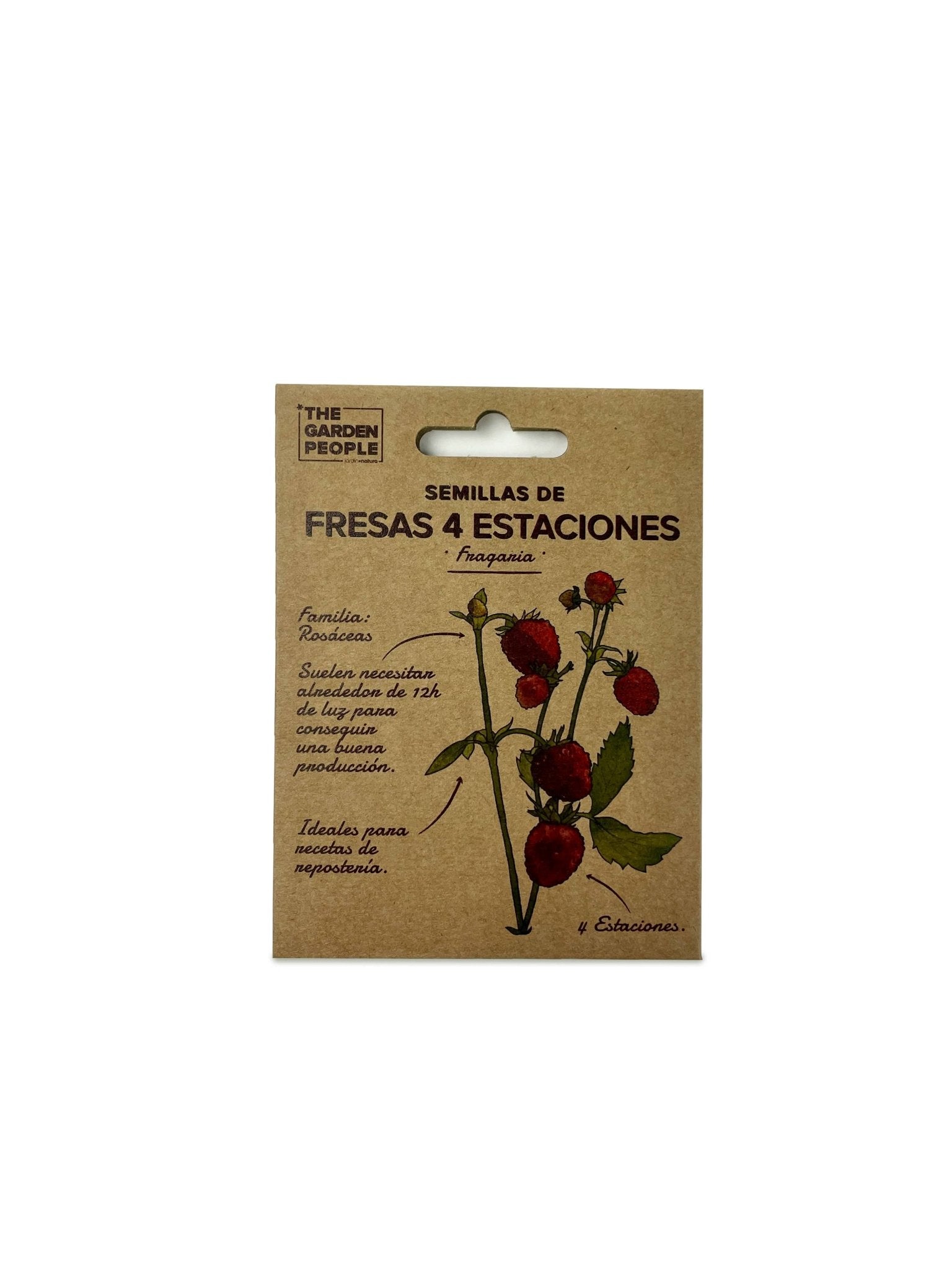 Pack of 4 - season STRAWBERRY seeds (1u - 0.05g) - Snedkerværktøj