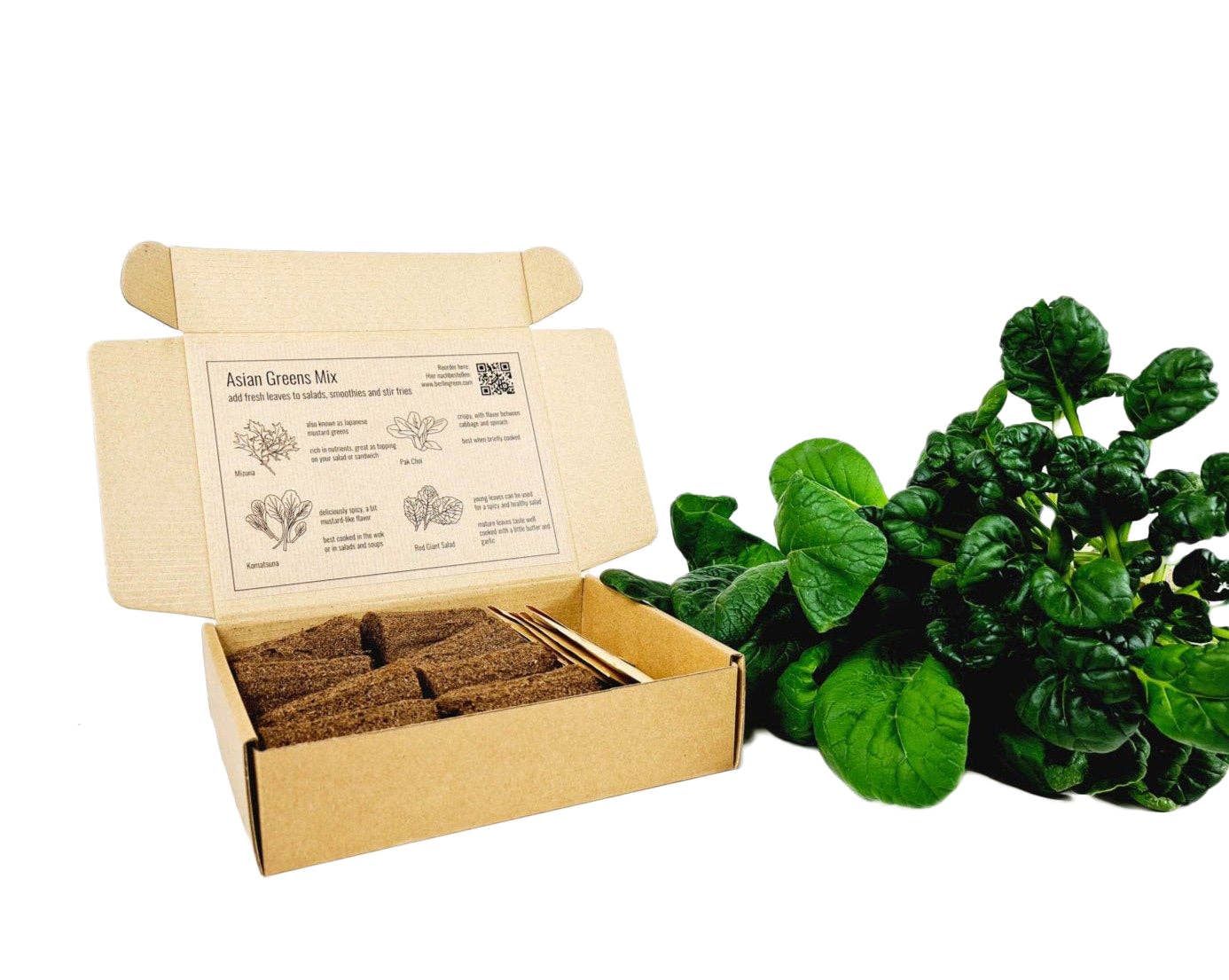 PlantPlugs | Asian leafy vegetables 8 - pack - Snedkerværktøj